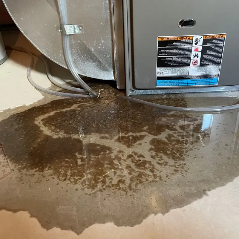 Pipe Burst and Leak Restoration in Fallon County, MT