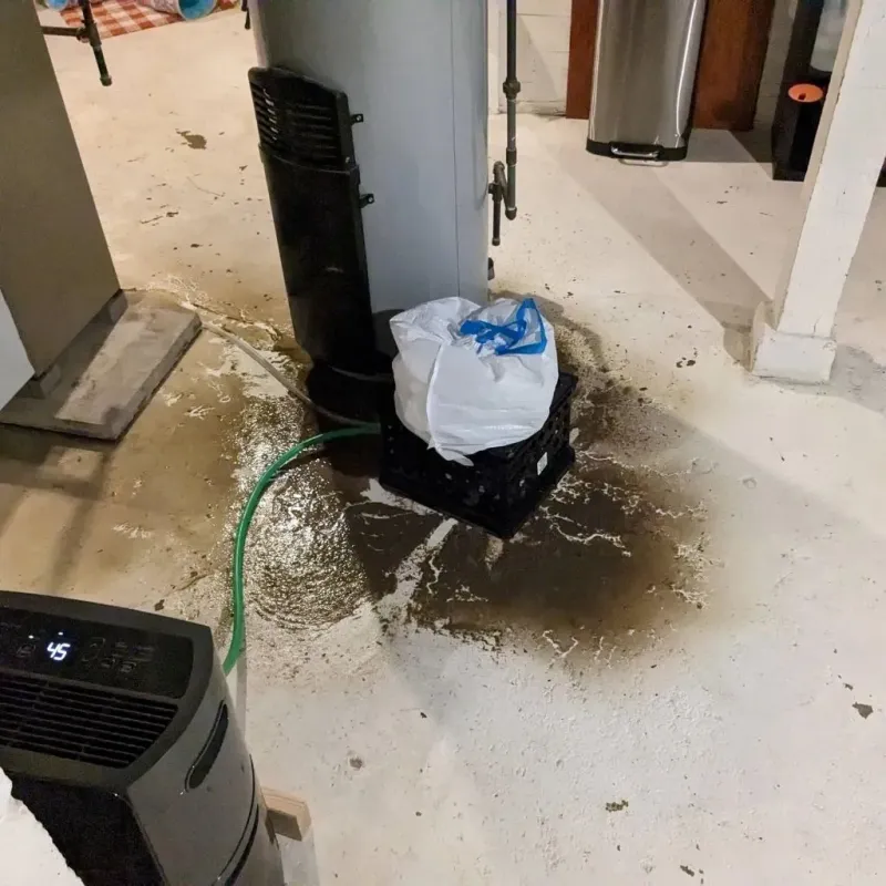 Sewage Backup Cleanup Service in Fallon County, MT